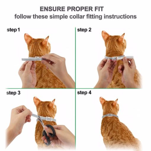 DEWEL™ Pro Guard Flea and Tick Collar for Cats