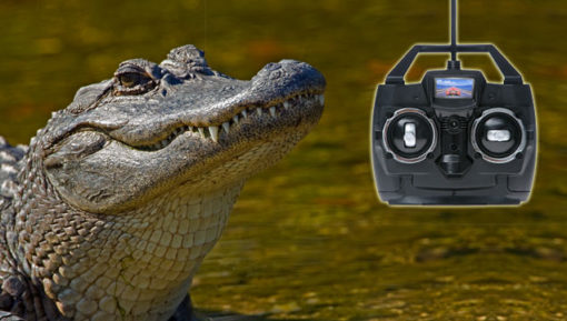 PRANK – REMOTE CONTROLLED ALLIGATOR - Image 2