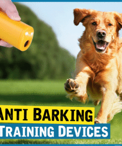 Anti Barking Training Devices