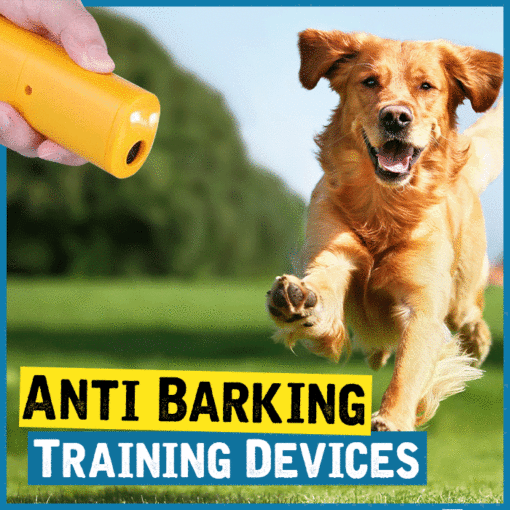 Anti Barking Training Devices