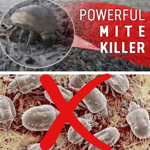 Natural Mite Killer - Image 8