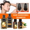 Gray Reverse Hair Darkening Shampoo