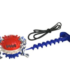 Outdoor Dog Chew Toy