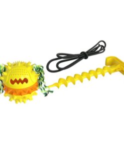 Outdoor Dog Chew Toy