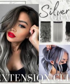 Stunning Silver Hair Clips