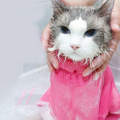 Cat Grooming And Bathing Bag