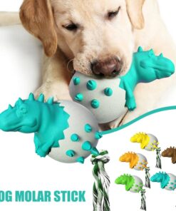 Dinosaur Eggs Dog Chew Toys