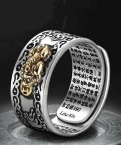 Feng Shui Pixiu Mani Mantra Protection Wealth Ring