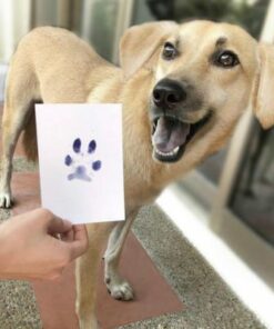 Paw Print Pad