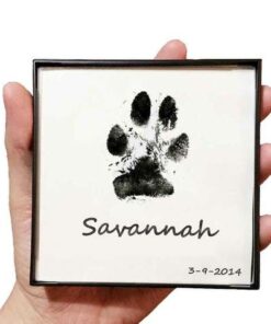 Paw Print Pad