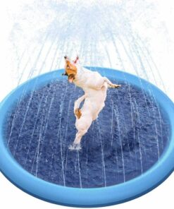 Dog Splash Sprinkler Pad